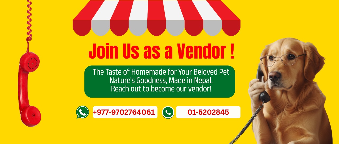 Contact Section Image