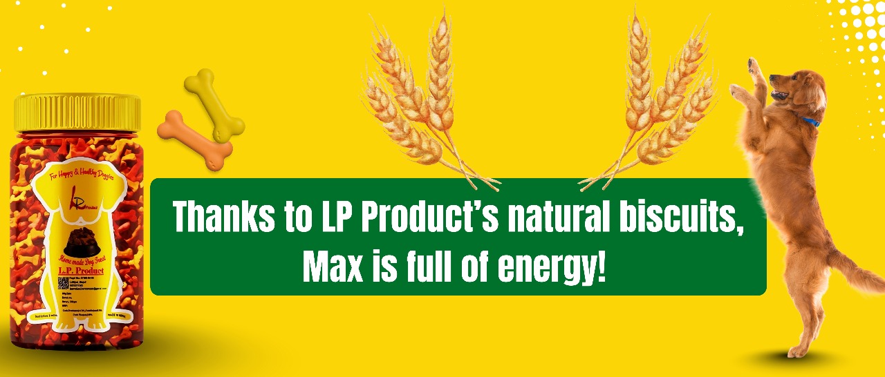 buy fresh dog food online, lp products dog food near me