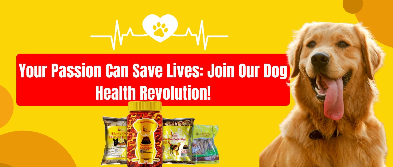 No-preservative dog food, Best Dog food 2025